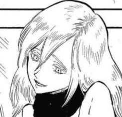 Zz16519497030040 013png — Black Clover Manga option 235