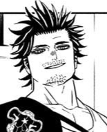 Zzzzz 16611022840332 007 3png — Black Clover Manga option 267