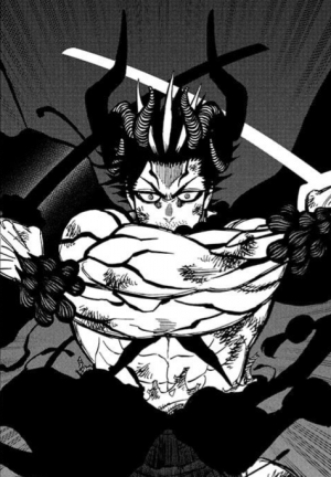 Zzzzz 17620199340385 018 — Black Clover Manga option 357