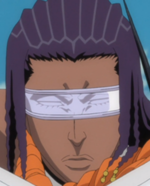 Ep289tosenprofilepng — Bleach captains (and division 0), all arcs included option 13