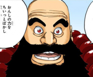 Ichibech611png — Bleach captains (and division 0), all arcs included option 14