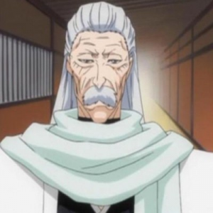 Kuchikiginrei4587jpg — Bleach captains (and division 0), all arcs included option 19