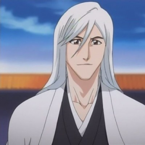 Ukitakejshir550jpg — Bleach captains (and division 0), all arcs included option 22