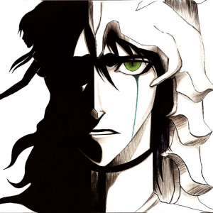 6adb036d C89f 4402 9c35 A11d98fabc80jpeg — bleach characters without fillers option 17