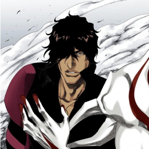 7d098381 F09e 480e Bf10 5d260fe5eb07jpeg — bleach characters without fillers option 19