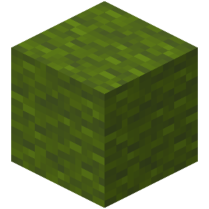Minecraft Manual - Minecraft Grass Block Transparent PNG