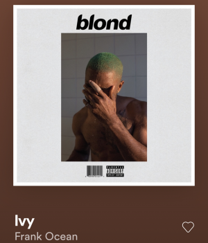 Zz158911435126bbed63 A69f 446e 87c8 A7575975f5b9jpeg — «blond» ranking option 5