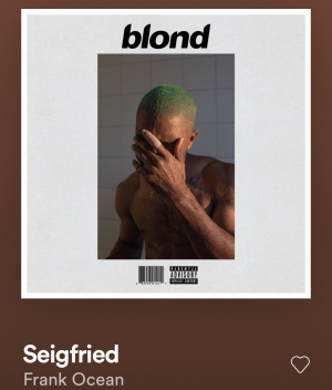 Zz1589114352ae8b3c02 8a1d 4c36 81f8 7d029514f181jpeg — «blond» ranking option 15