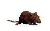 Zz1606405655red123452png — Blood (1997) Monsters option 40