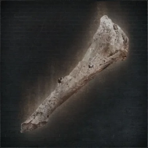 Brewrpng — Bloodborne Hunter Tools Tier List option 3