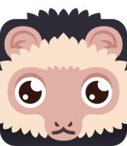 Capuchinmonkeypng — Blooket Blooks 2022 option 18