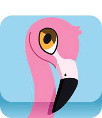 Flamingojpg — Blooket Blooks 2022 option 43