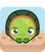 Turtlepng — Blooket Blooks 2022 option 131