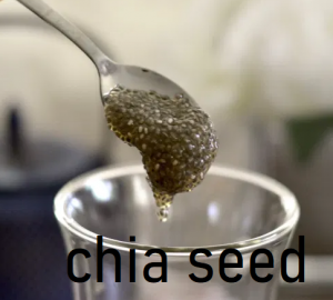 Chia Seedpng — Boba Toppings option 5