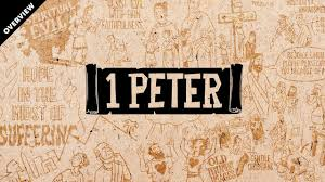 1 Petjpg — Hardest books of the bible to find option 5