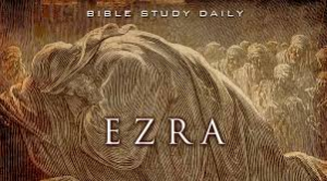 Ezrjpg — Hardest books of the bible to find option 28
