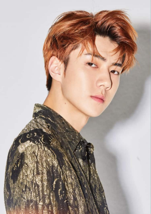 B7f03b5e 446c 40b3 Bc02 3caa39e47962jpeg — Boy Group Visuals option 21