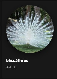 Screenshot 2022 04 26 134413jpg — *Breakcore* Artist Tierlist option 47
