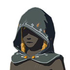 Botwhylianhoodiconpng — Breath of the Wild items option 207