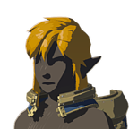 Botwsalvagerheadweariconpng — Breath of the Wild items option 219