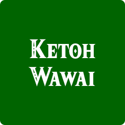 Ketoh Wawaipng — Breath of the Wild Shrines option 45