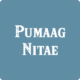 Pumaag Nitaepng — Breath of the Wild Shrines option 70