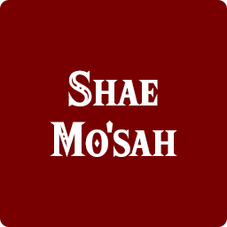 Shae Mosahpng — Breath of the Wild Shrines option 90