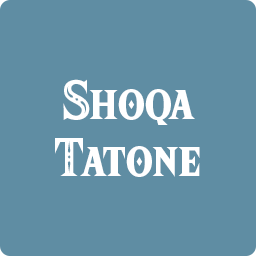 Shoqa Tatonepng — Breath of the Wild Shrines option 99