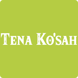 Tena Kosahpng — Breath of the Wild Shrines option 107