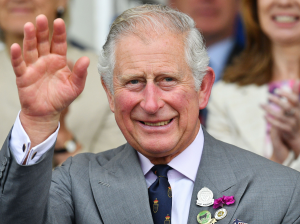 Princecharlesjpg — British Royal Family option 6