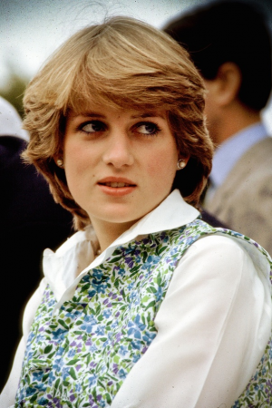Princessdianajpg — British Royal Family option 13