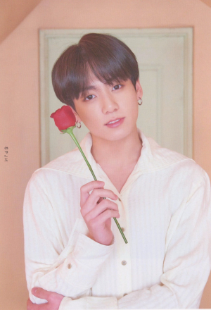 D2b1634f27beba219417f6c523043029jpg — BTS Jungkook for each Concept option 29