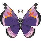 67d Vivillon Elegantpng — Bug Type Pokémon (as of Gen. 8) option 74