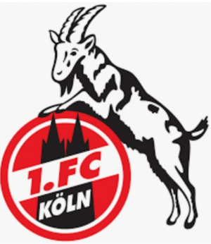 20210501100843jpg — Bundesliga Clubs 2020/21 option 4