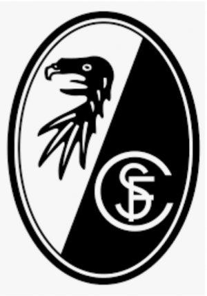 20210501101120jpg — Bundesliga Clubs 2020/21 option 12
