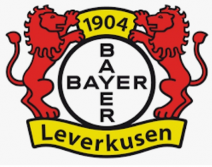 20210501101158jpg — Bundesliga Clubs 2020/21 option 14