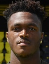 344598 1534236457jpg — Bundesliga Innenverteidiger 2020/21 option 38