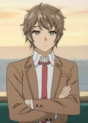 Rascal does not dream of bunny girl senpai deals characters