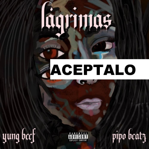 Aceptalojpg — CANCIONES YUNG BEEF option 3