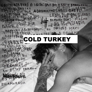 Cold Turkeyjpg — CANCIONES YUNG BEEF option 15