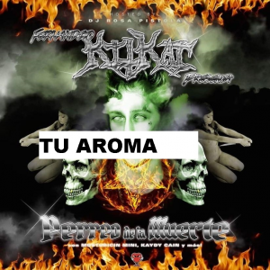 Tu Aromajpg — CANCIONES YUNG BEEF option 62