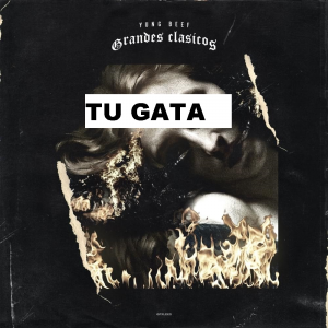 Tu Gata Yojpg — CANCIONES YUNG BEEF option 63