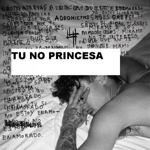 Tu No Princesajpg — CANCIONES YUNG BEEF option 65