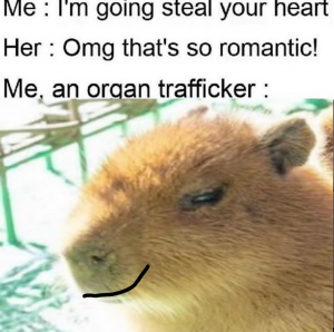 Img20220131072516288jpg — Capybara option 5