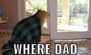 Img6838png — Capybara option 7