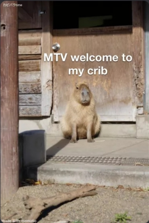 Screenshot20220130 234433discordjpg — Capybara option 16