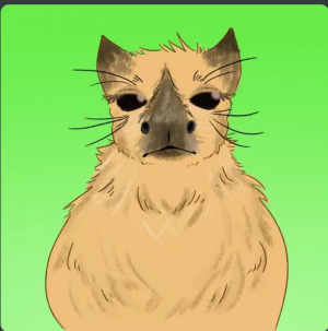 Screenshot20220228 075004discordjpg — Capybara option 20