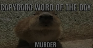 Screenshot20220316 163242tiktokjpg — Capybara option 22