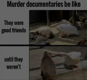 Screenshot20220316 163304tiktokjpg — Capybara option 23