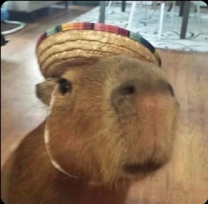 Screenshot20220413 125438twitterjpg — Capybara option 41